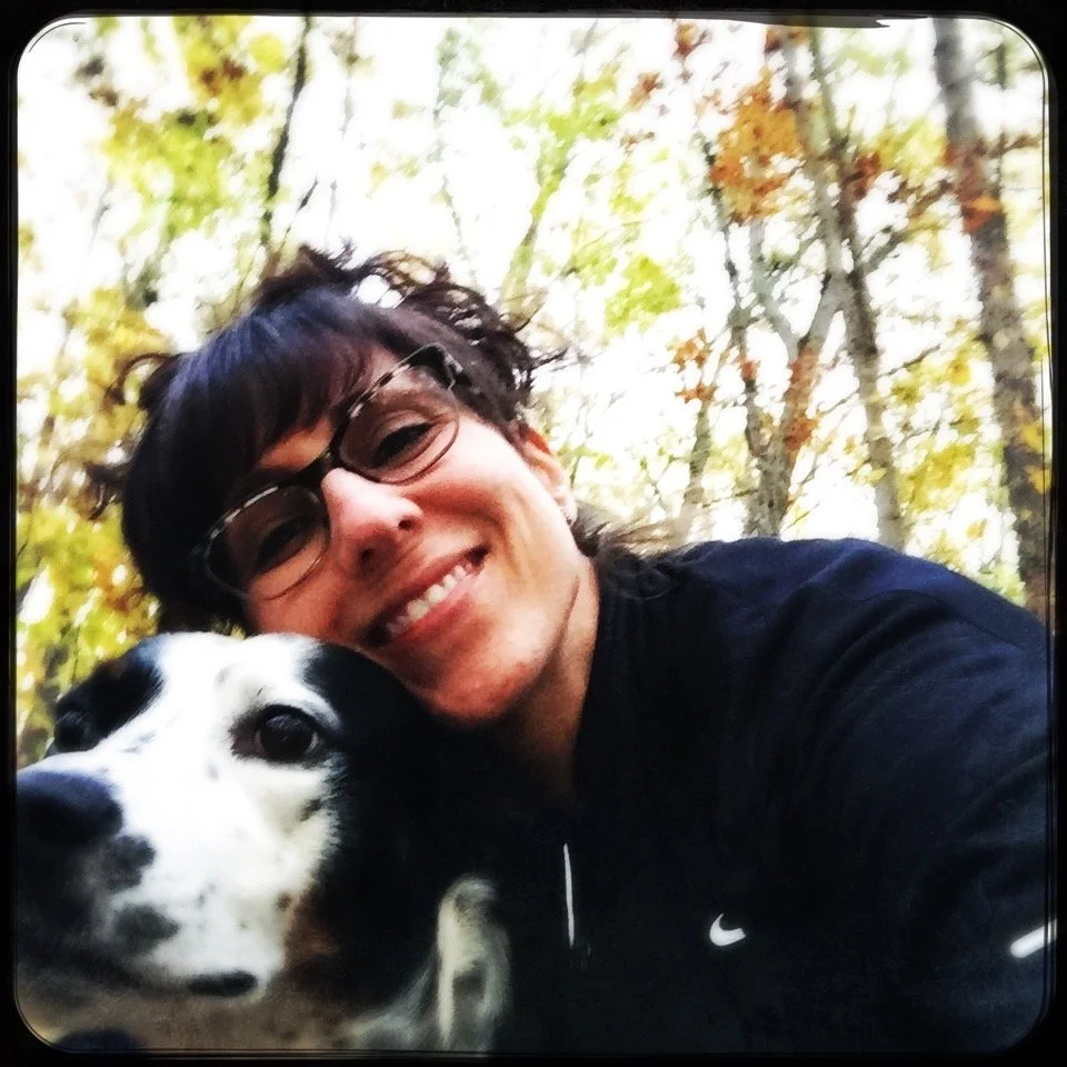 A black and white dog in the spring forest with the person who loves him most.