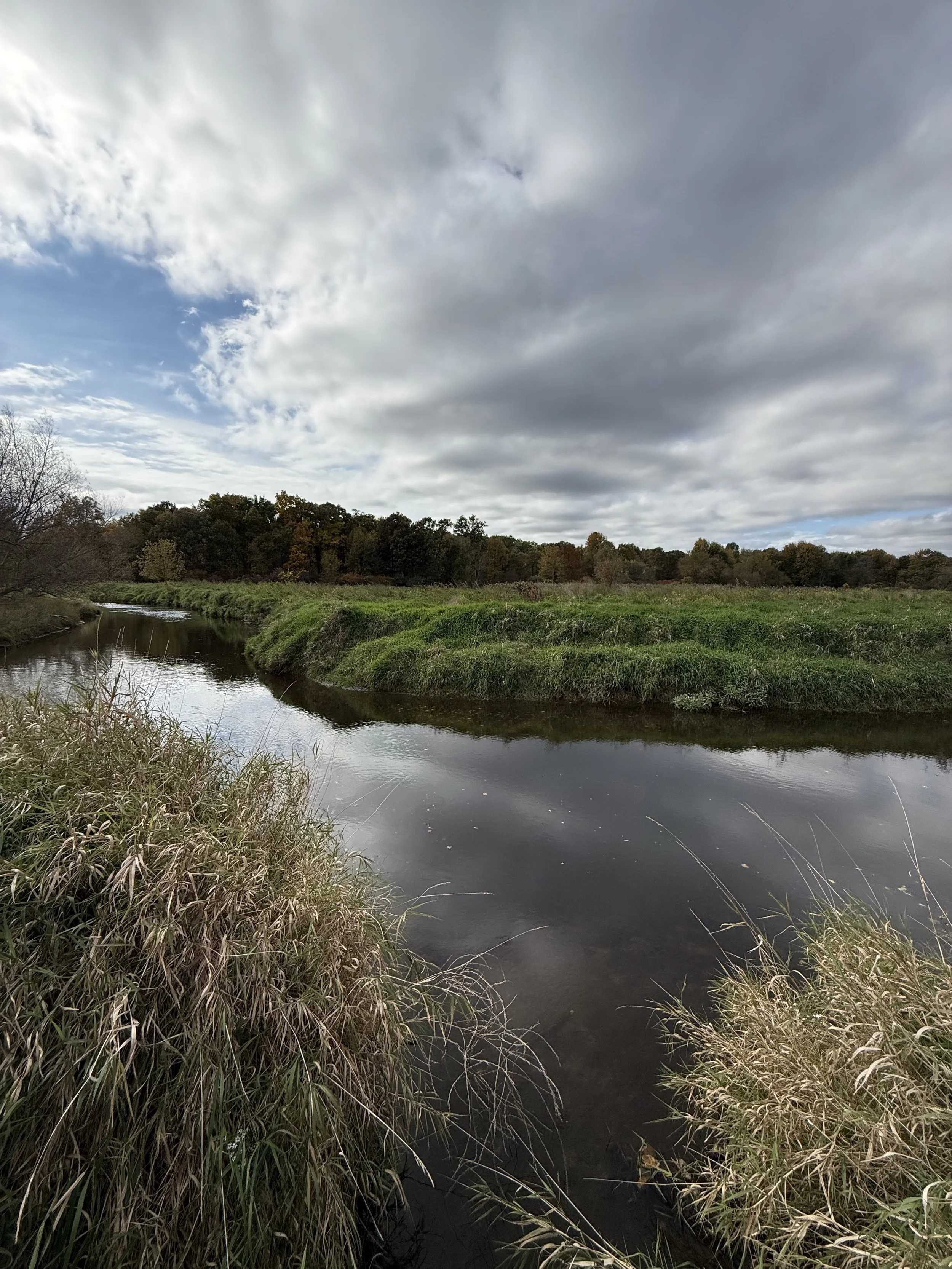A view of a creek and grasslands in October with dramatic clouds.