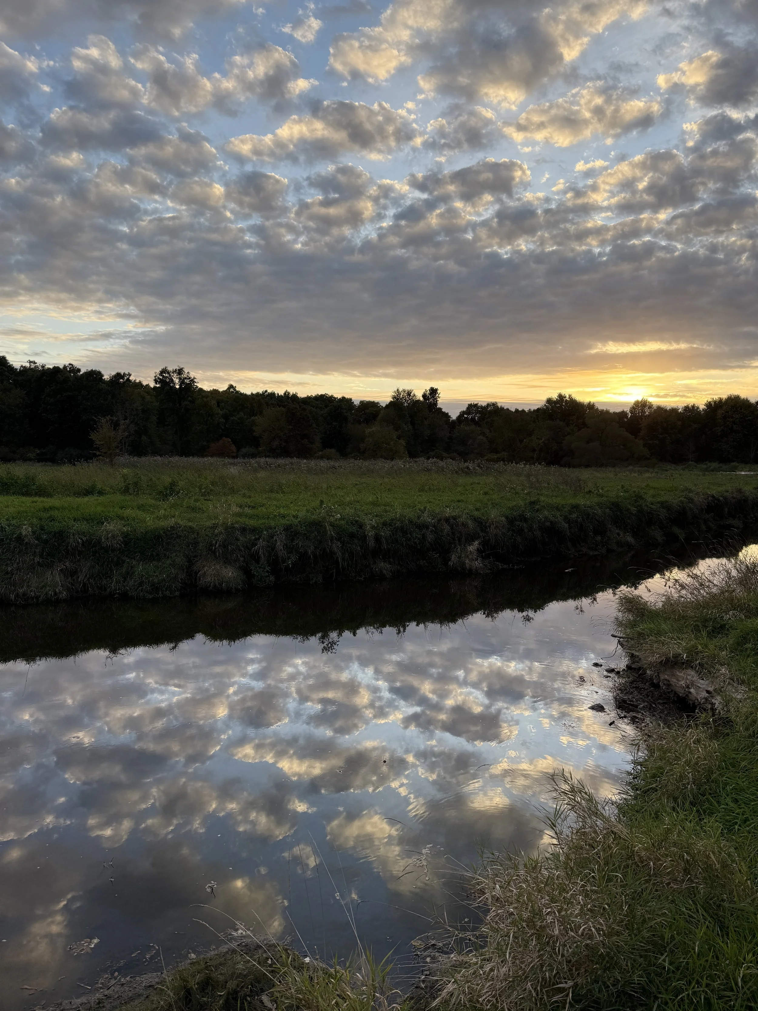 A view of grasslands and a creek with sun setting in the distance and clouds reflecting in the water.