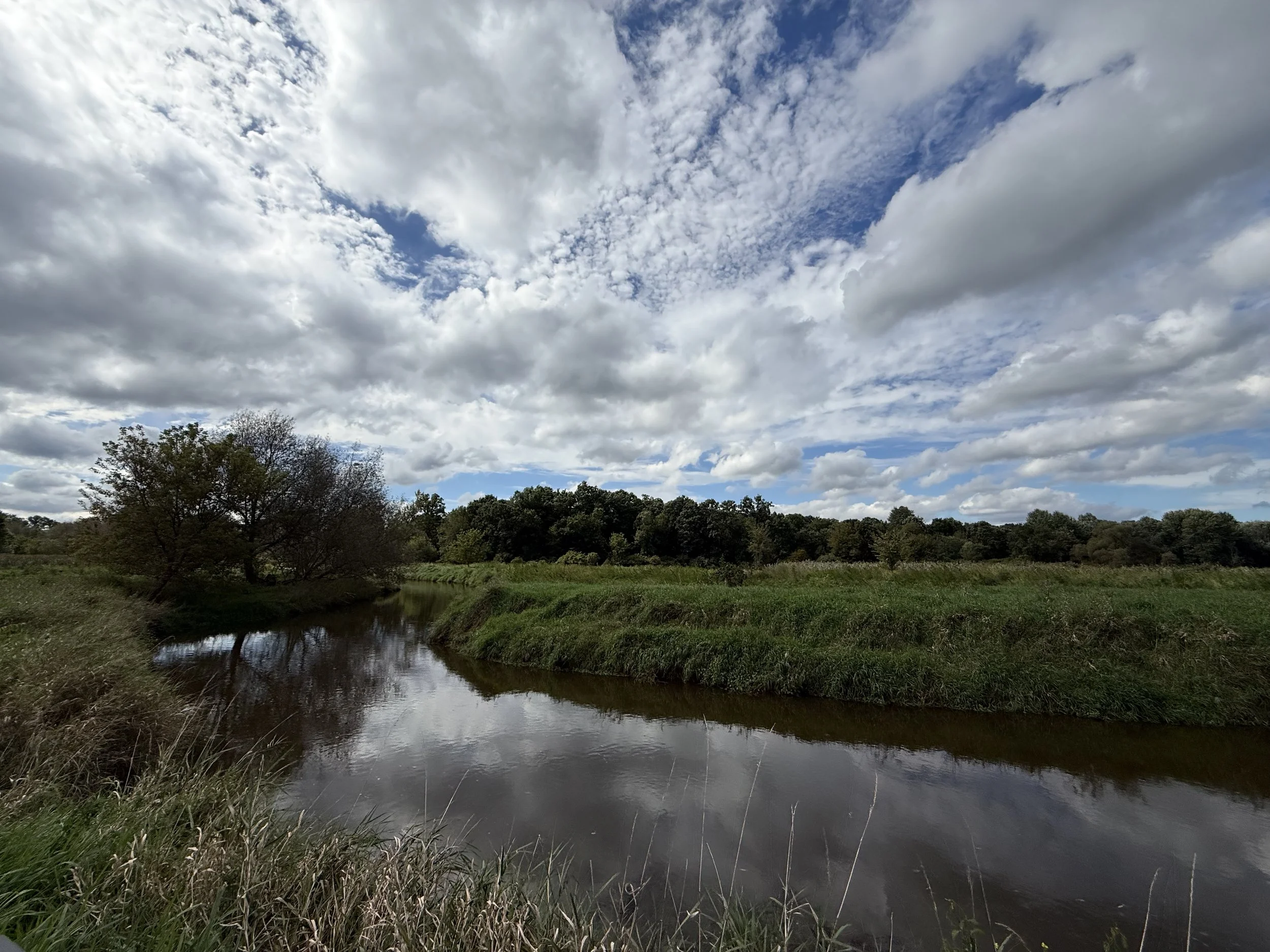 A view of a creek, weeping willow, blue sky, and dramatic clouds over forest and grasslands on the first day of autumn.