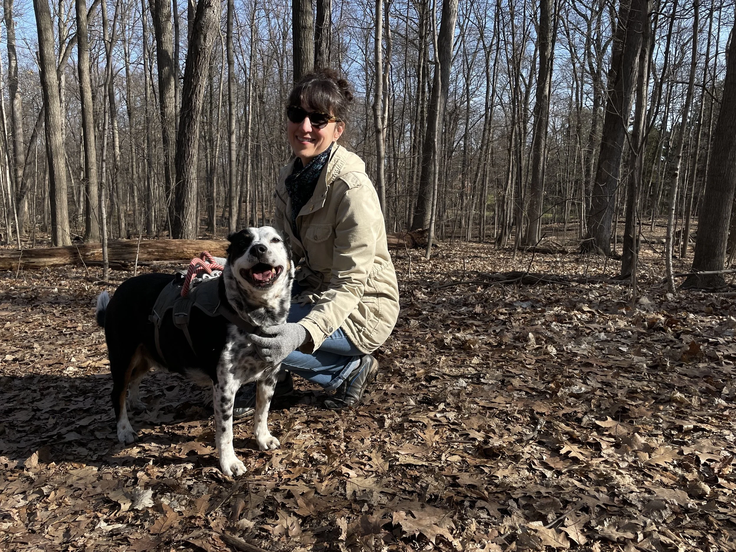A black and white dog smiling in a forest with the person who loves him most.