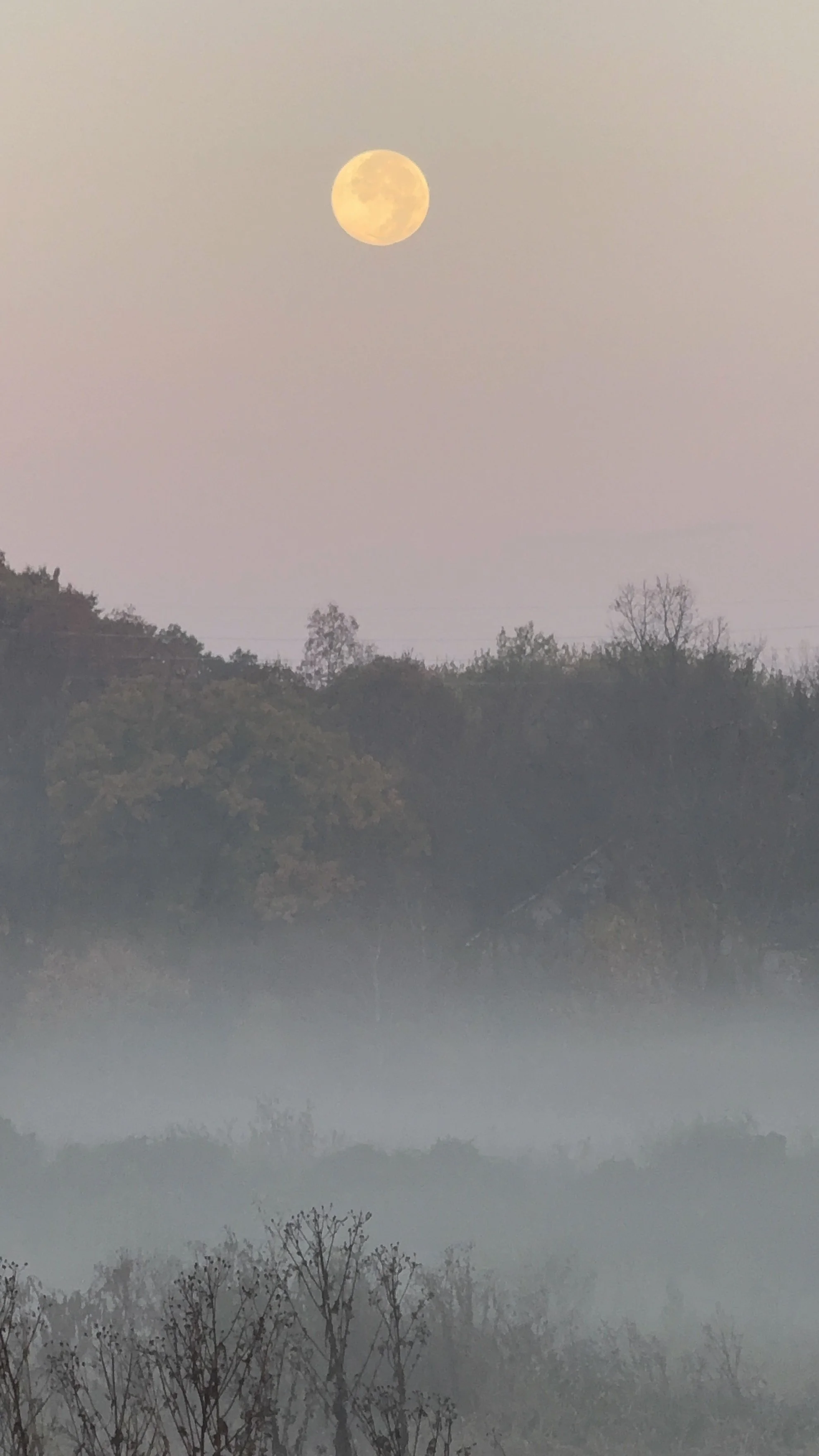 A full moon over foggy grasslands on an October morning.