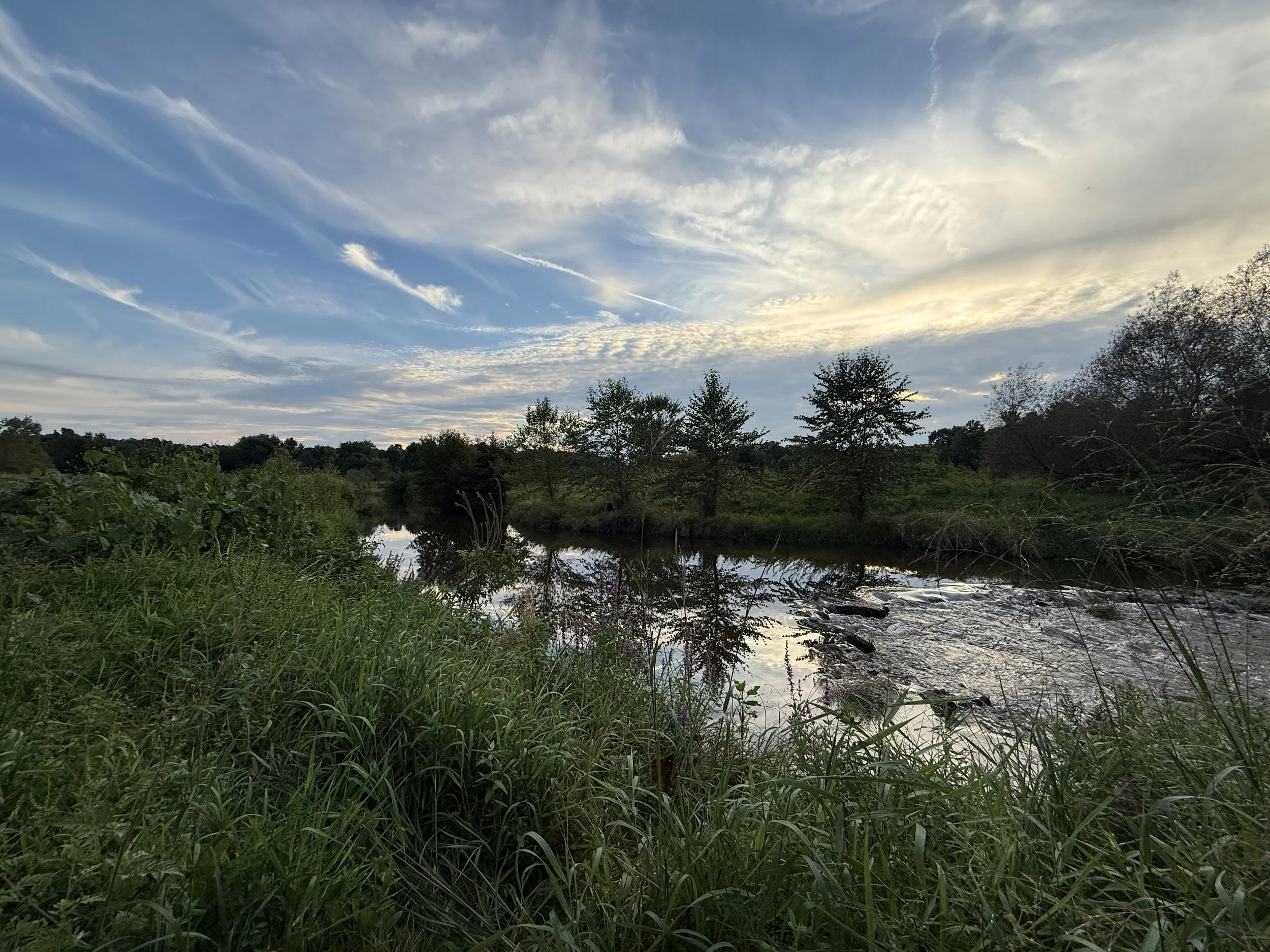 A creek on a September evening with dramatic wispy clouds above.