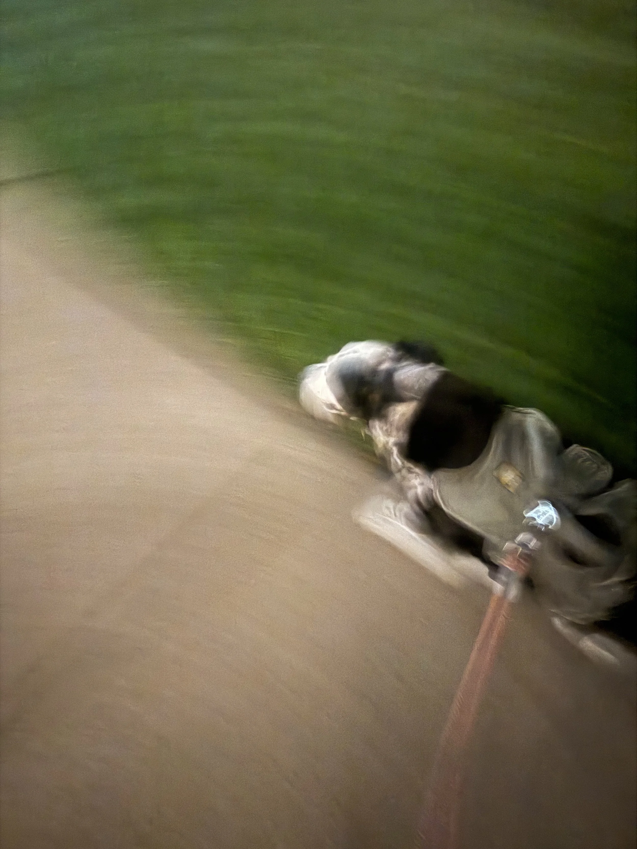A black and white dog walks at night under a full moon with the person who loves him most.