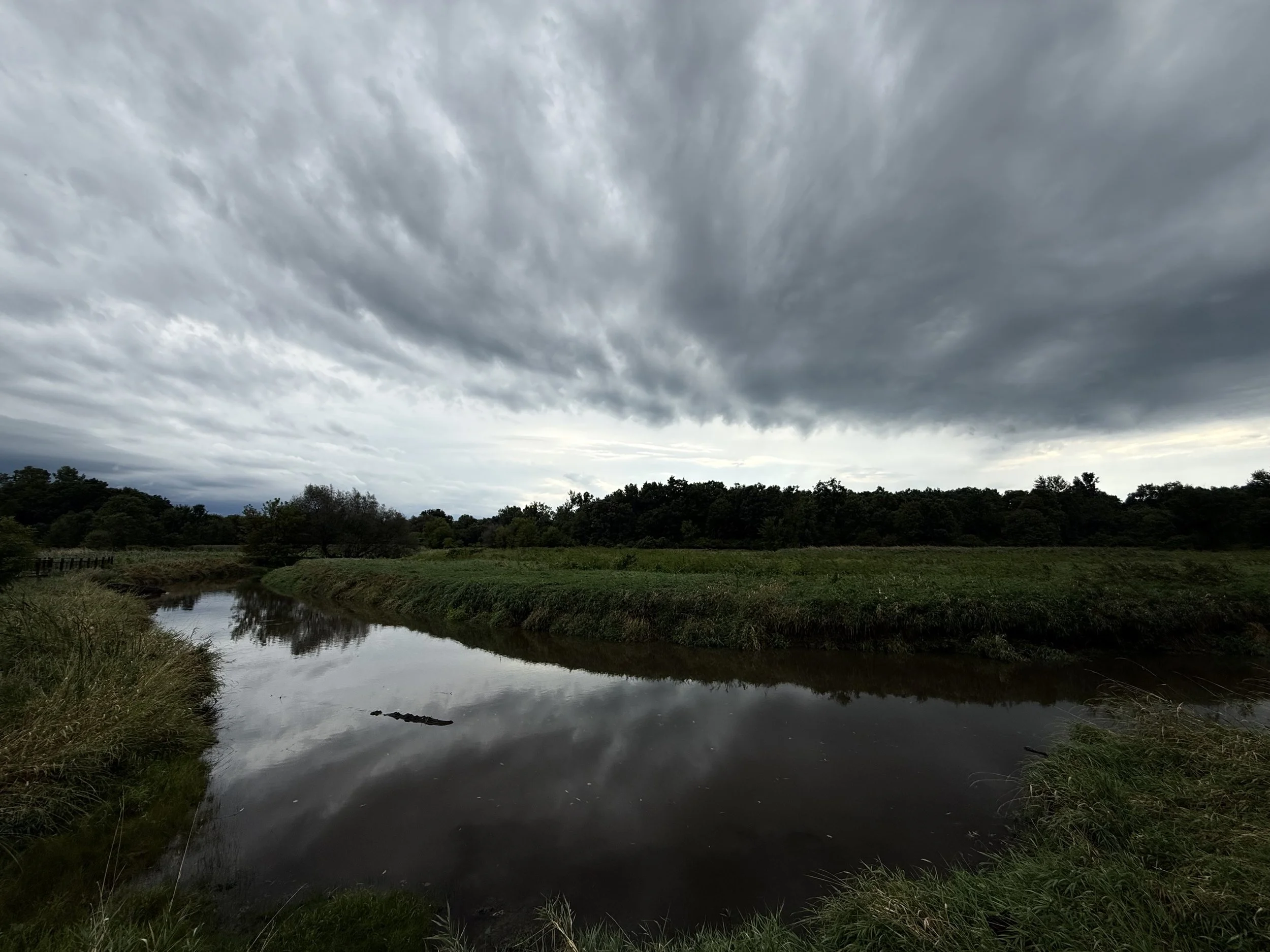 A view of a creek just after a storm with dramatic clouds over forest and grasslands in late afternoon.