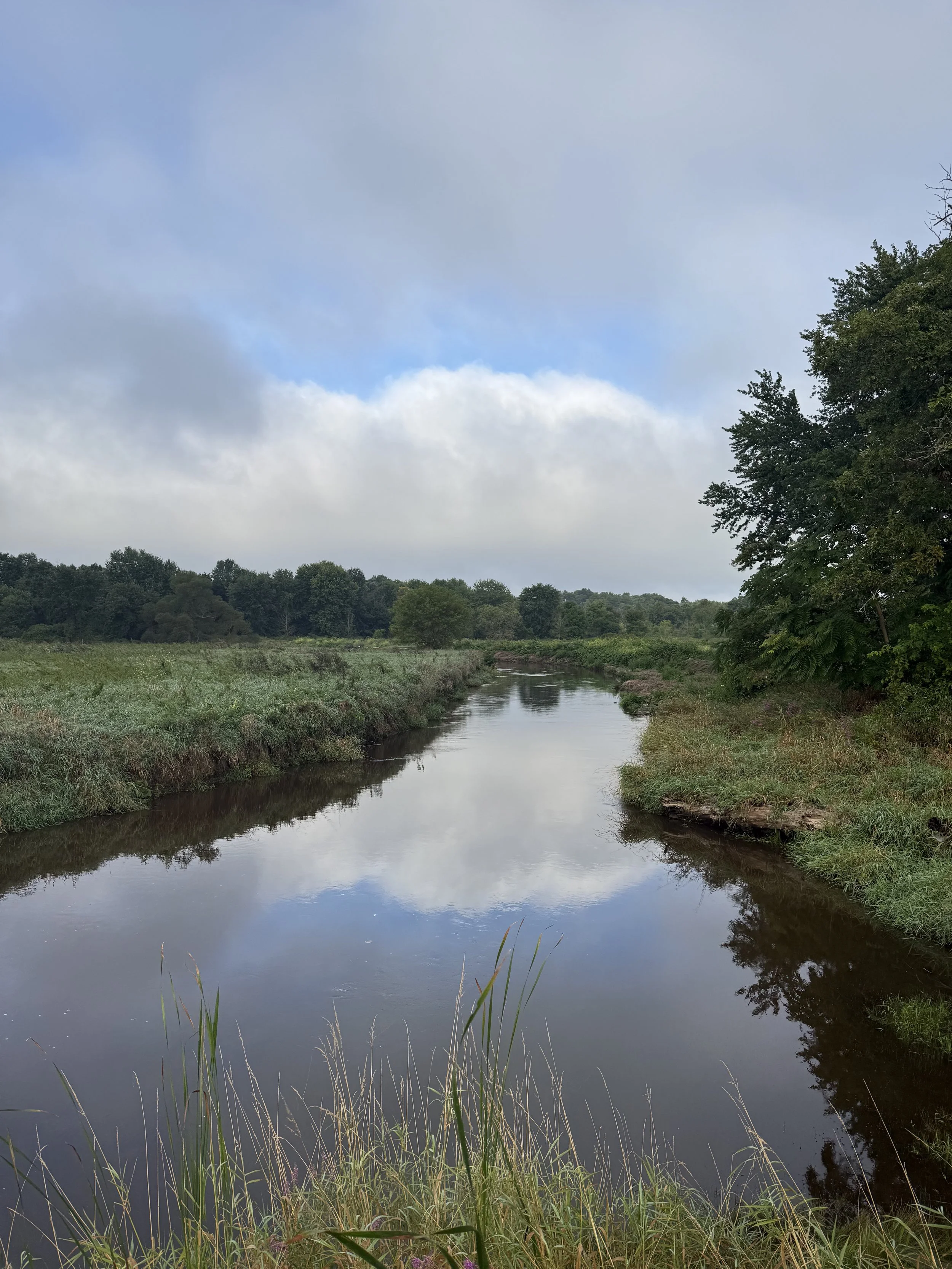 A view of a creek with puffy clouds reflected in it with a patch of blue sky  in the morning.