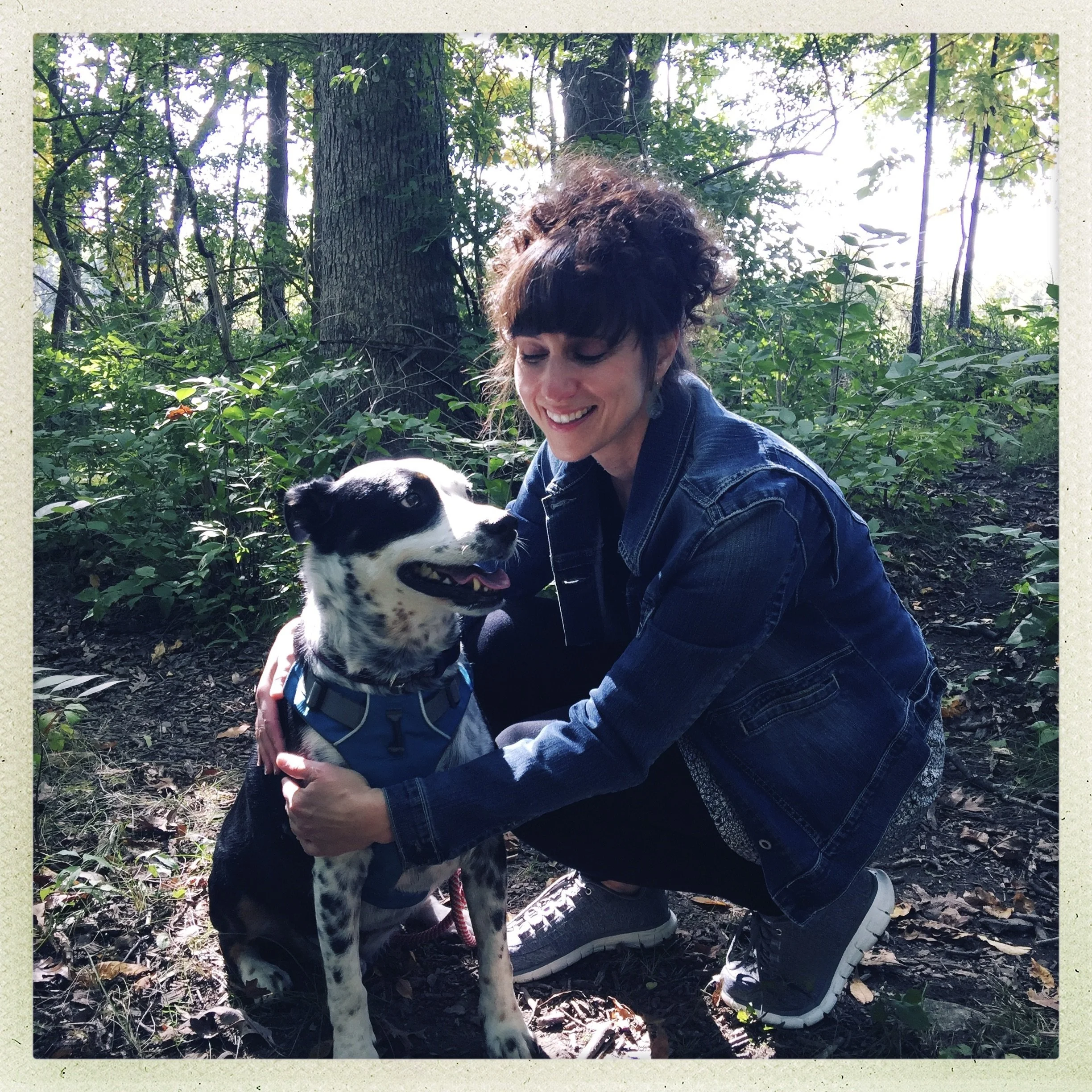 A black and white dog sits on a forest path looking at the person who loves him most.