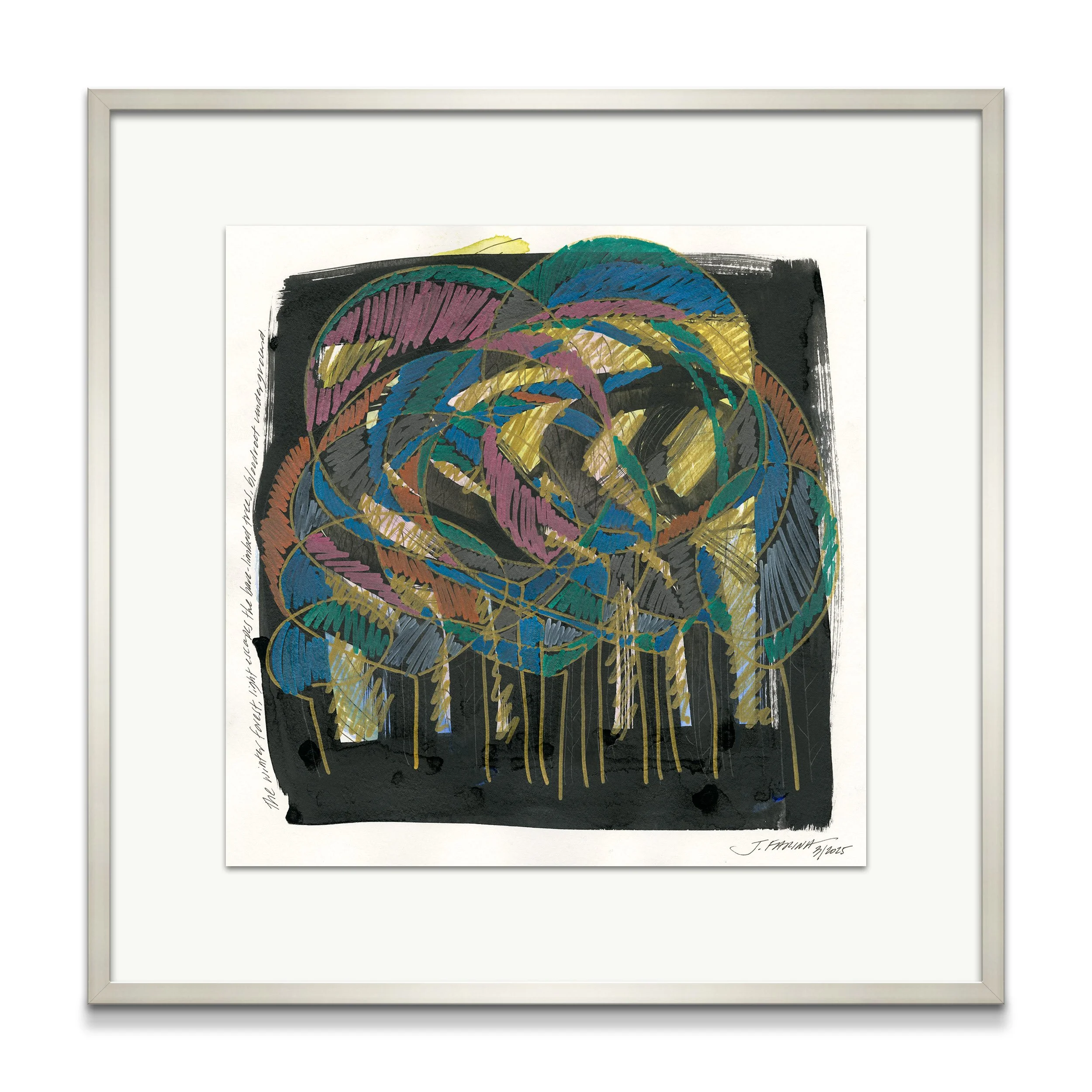 The winter forest...