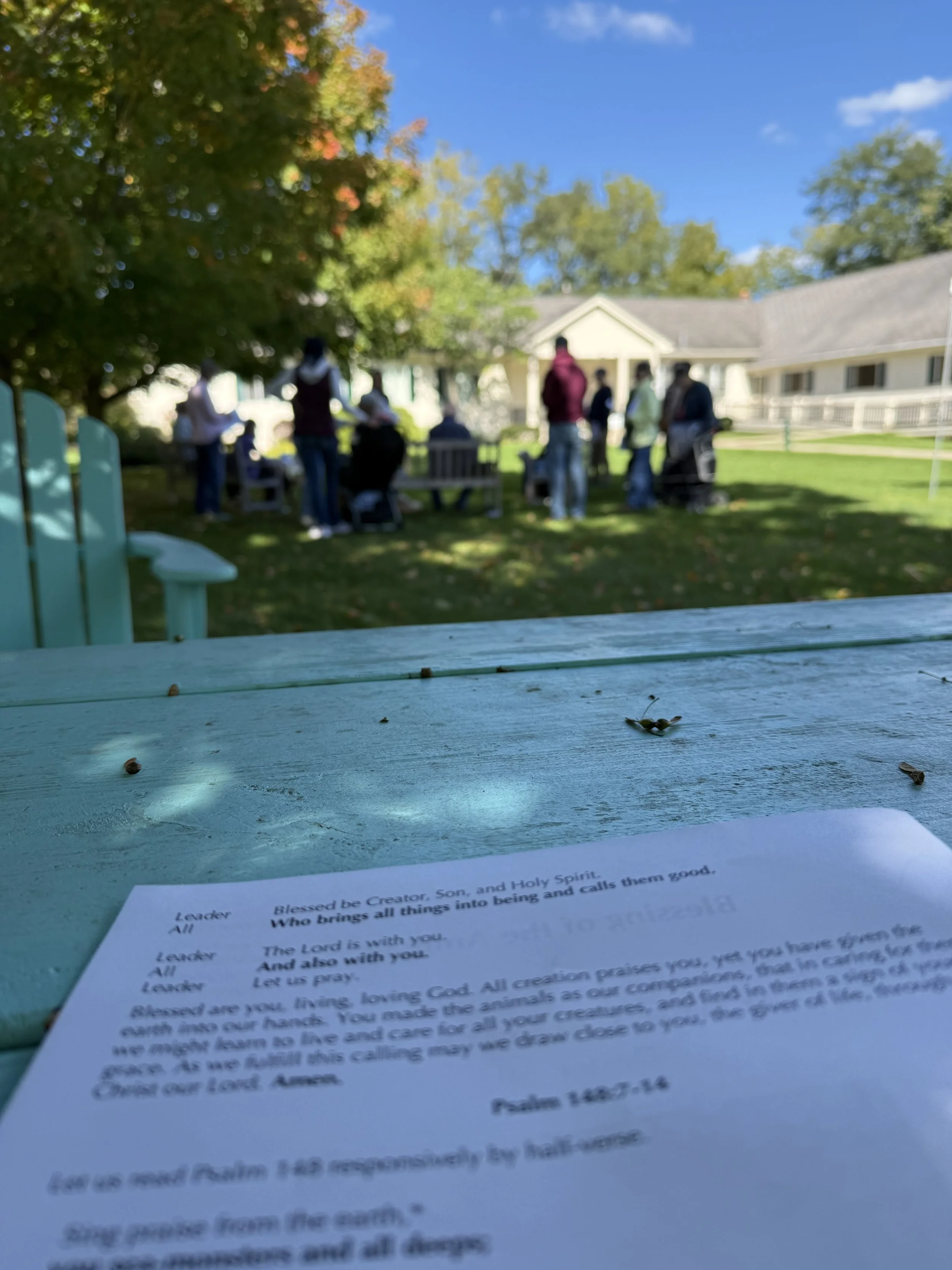 A view of a small group of people on a church lawn having their animals blessed.