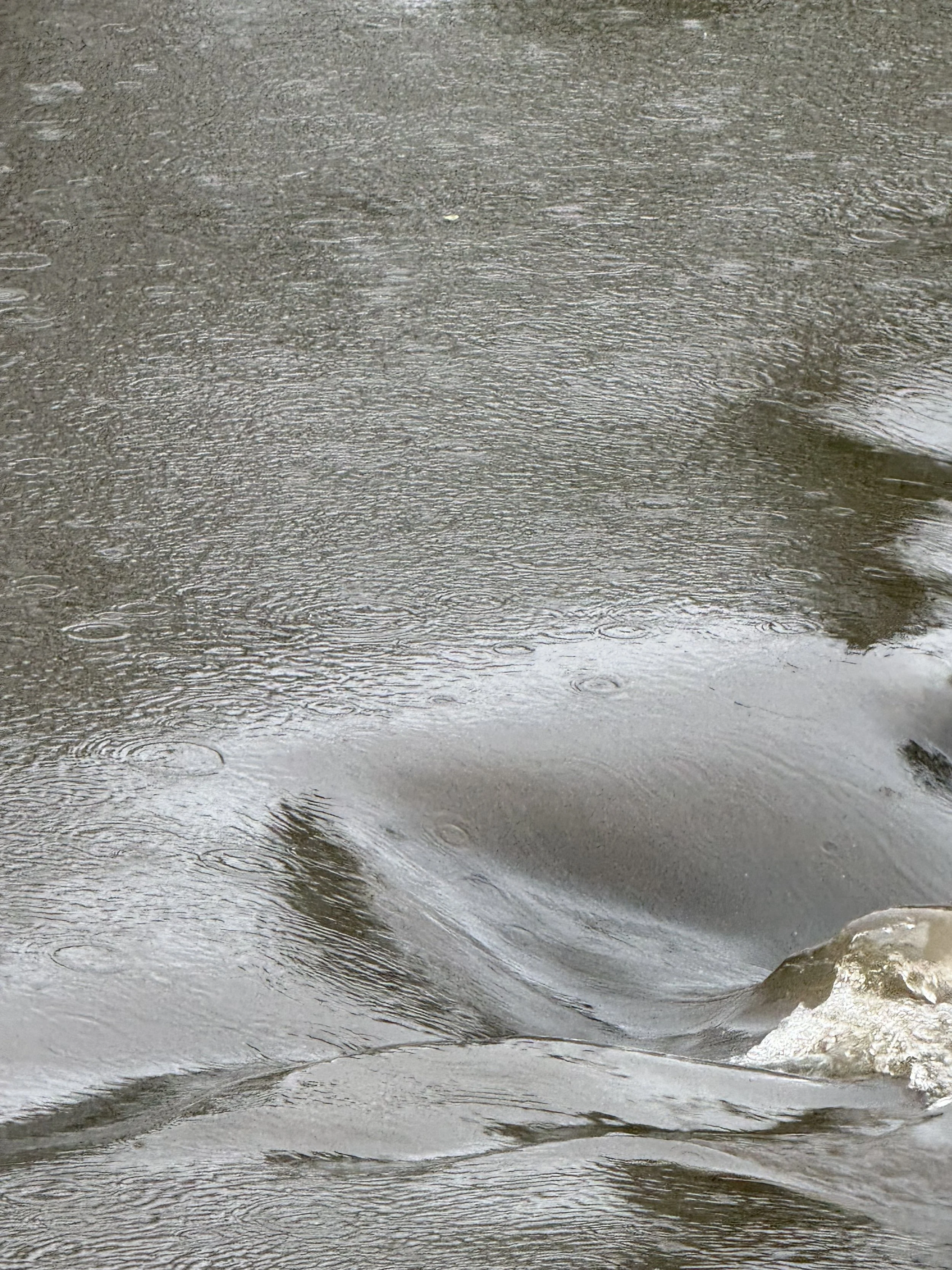 Raindrops falling on the small rapids of a creek in September.