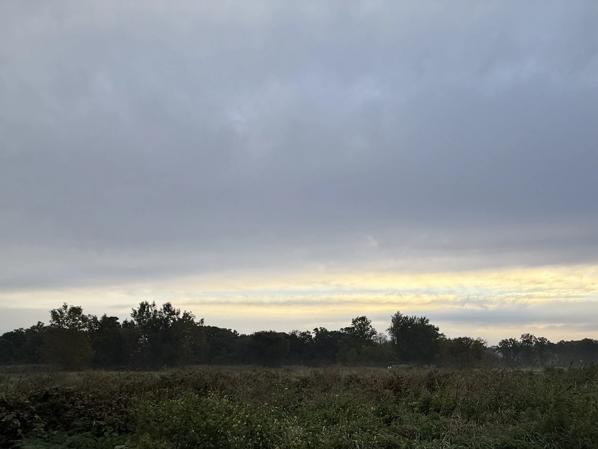 Grasslands at sunrise on a cloudy day.