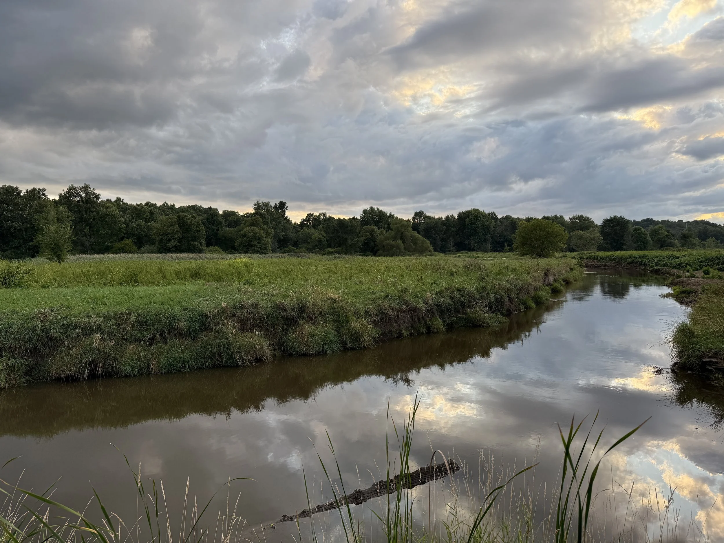 A view of a creek and dramatic clouds over forest and grasslands.
