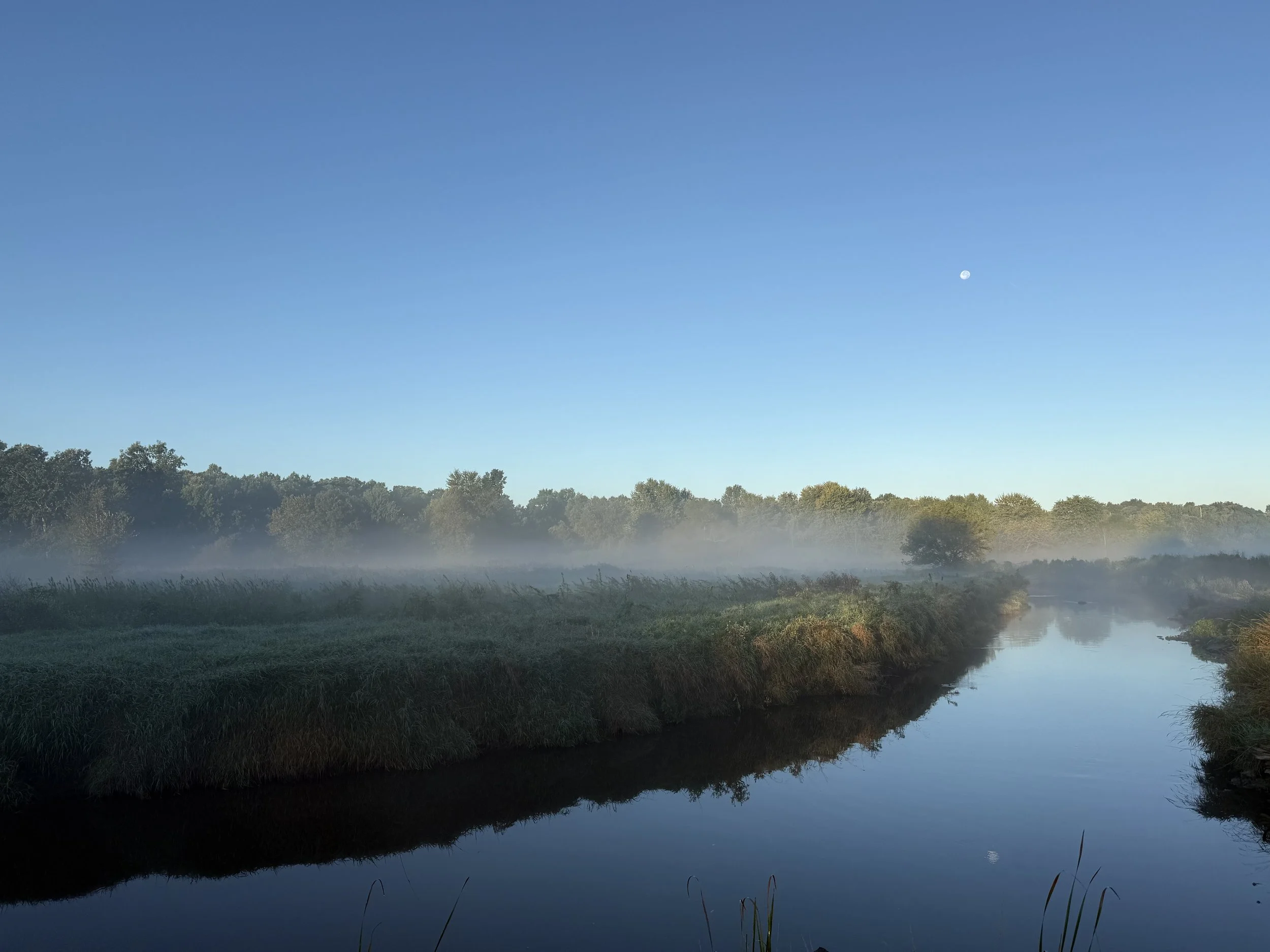 The moon in the morning over a creek and foggy grasslands.