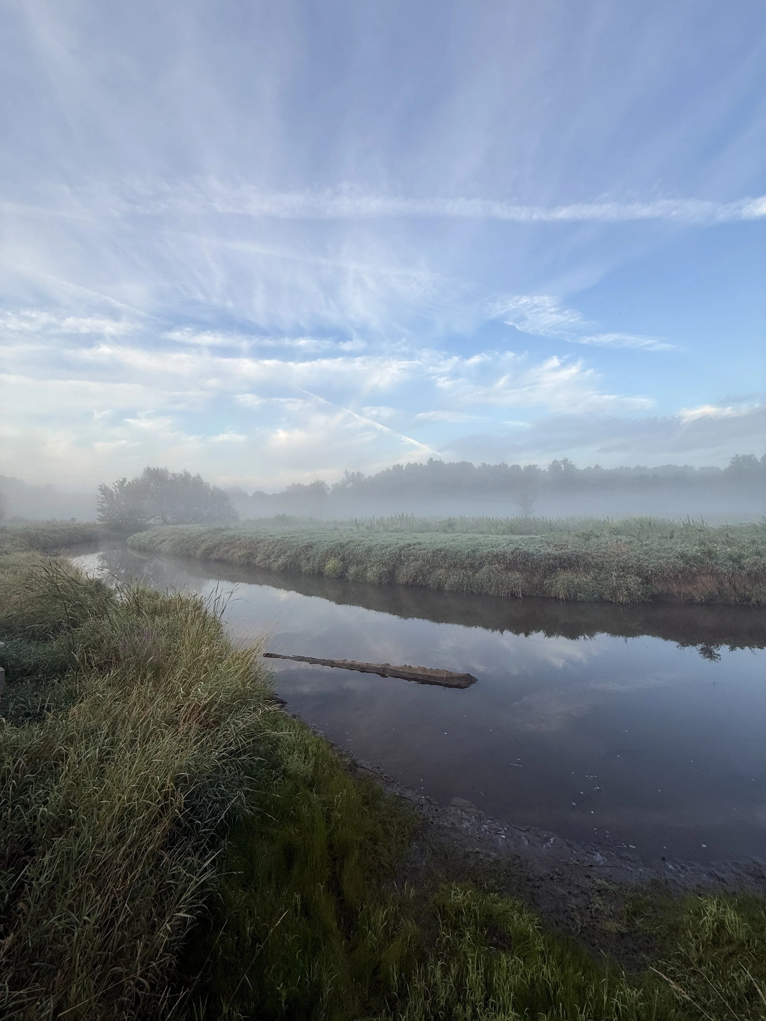 A view of a creek, weeping willow, and dramatic clouds over forest and grasslands in morning.