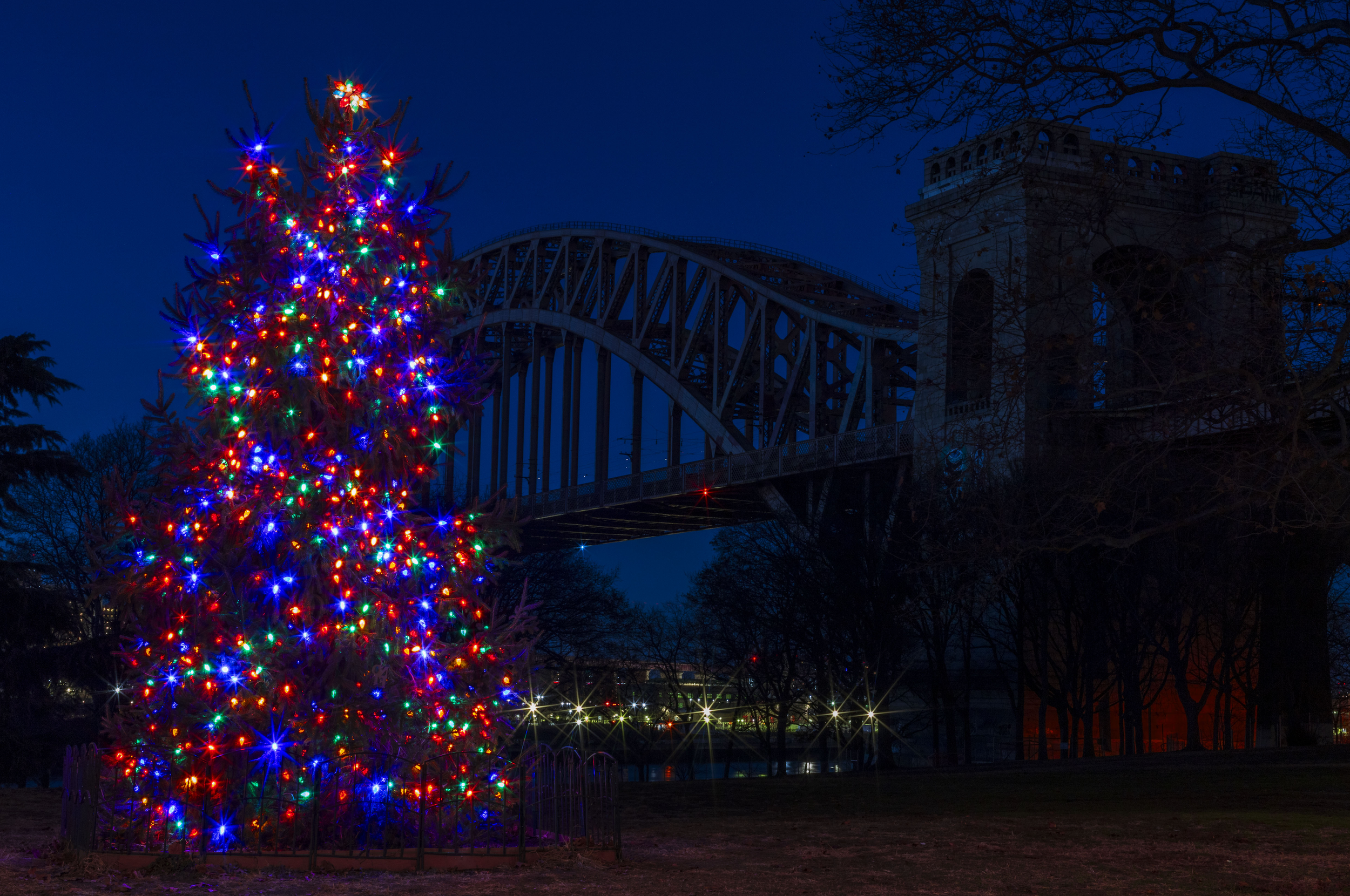 astoriaparkchristmastree.png