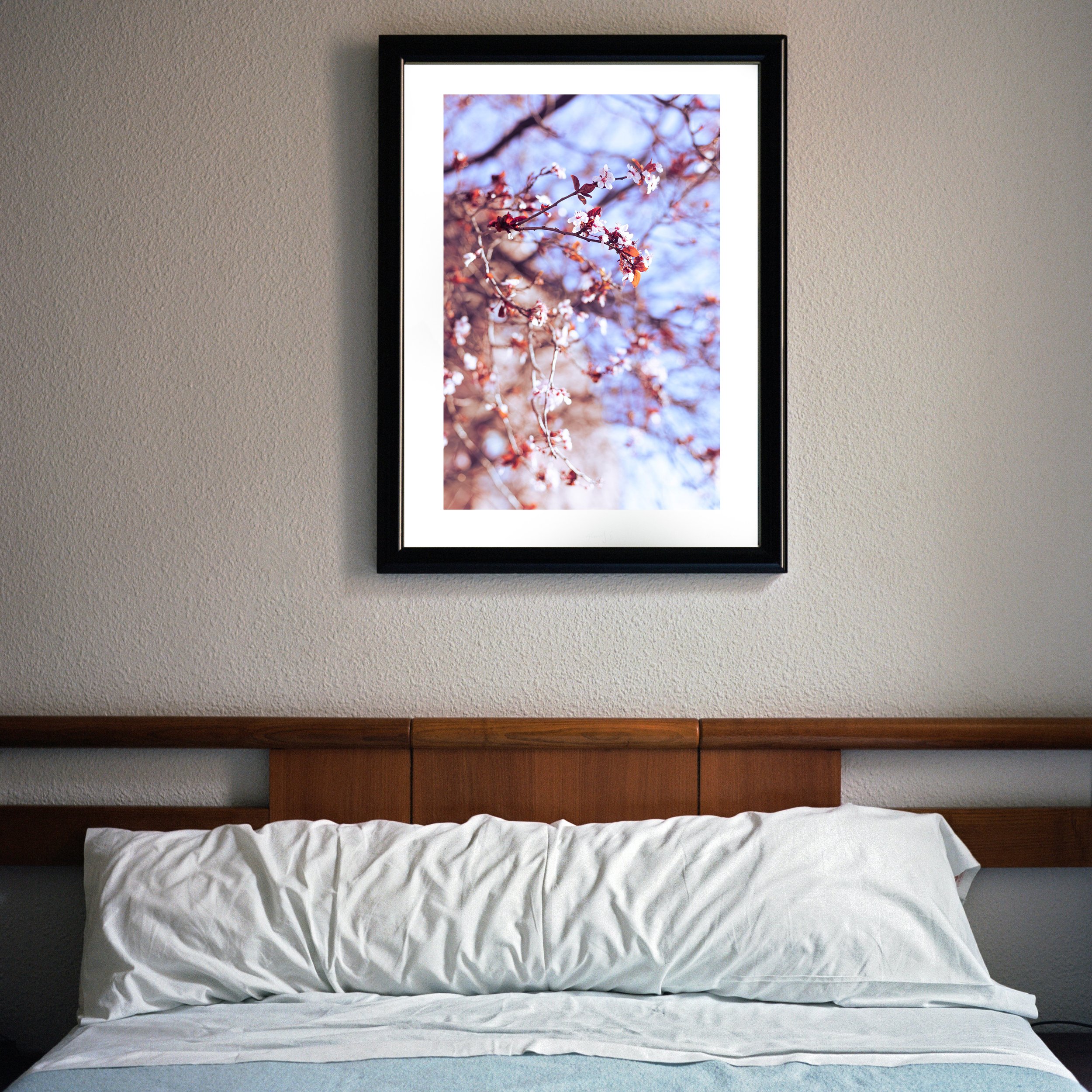 calm and peaceful photograph of blooming flowers in the springtime