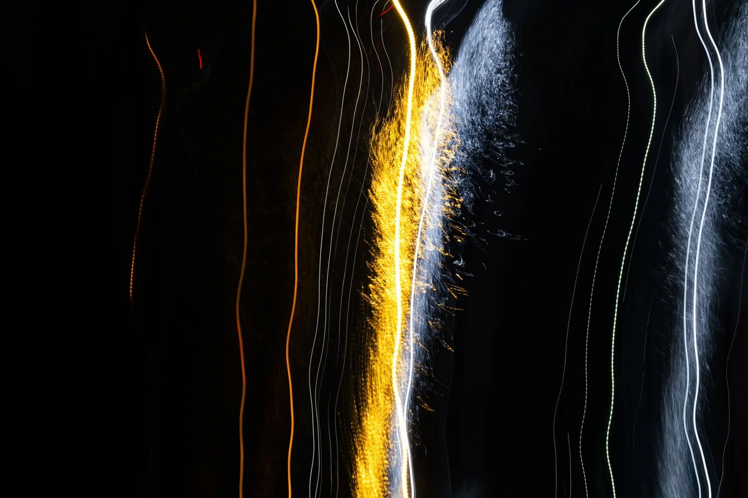 _MG_6655.jpg