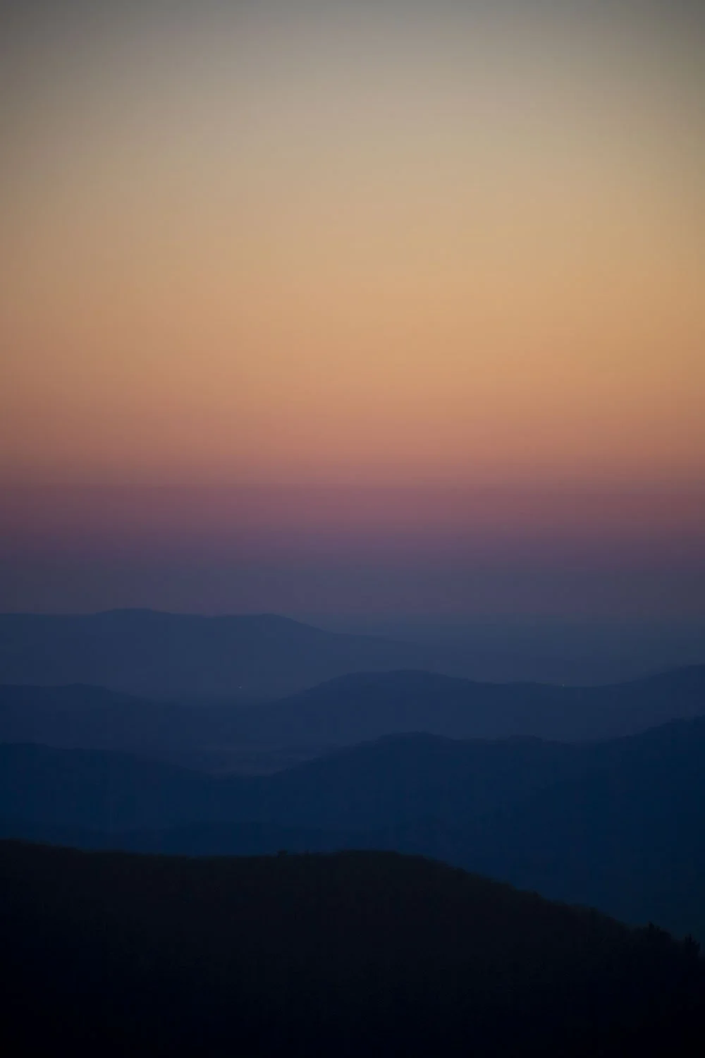 _MG_7654.jpg