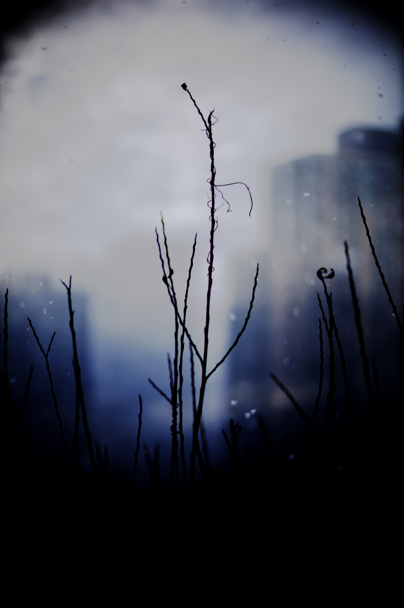 Screenshot 2026-01-25 at 10.19.23 PM.png