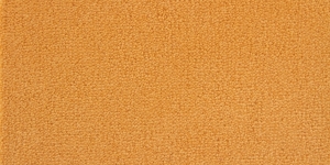 Yellow Lab / Marquis #1412