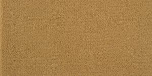 Brushed Gold / #1412
