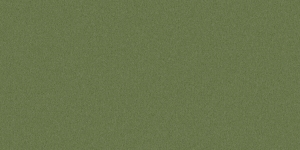 Greenhorn / #1412