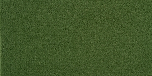 Lawn