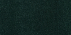 Viridian / #1412