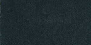Blue Moon / #1412