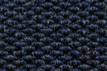 Steele Blue / #1422 Camino Real