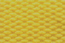 Yellow / #1422 Camino Real