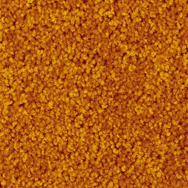 Dark Gold/ #46 Digi-Print