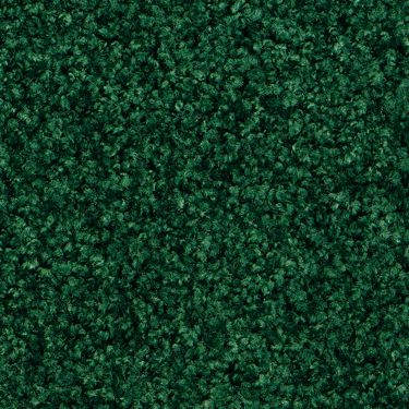 Forest Green / #46 Digi-Print