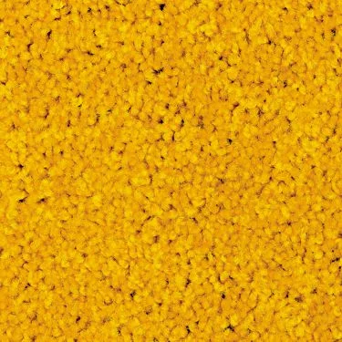 Gold / #46 Digi-Print