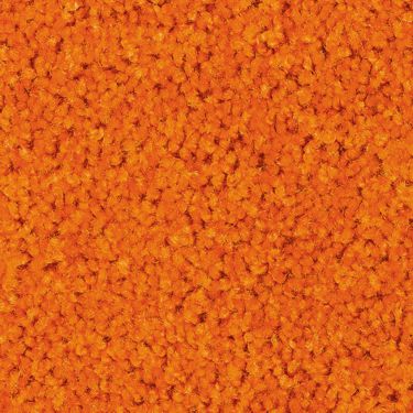 Orange / #46 Digi-Print