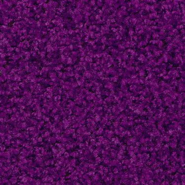 Purple / #46 Digi-Print