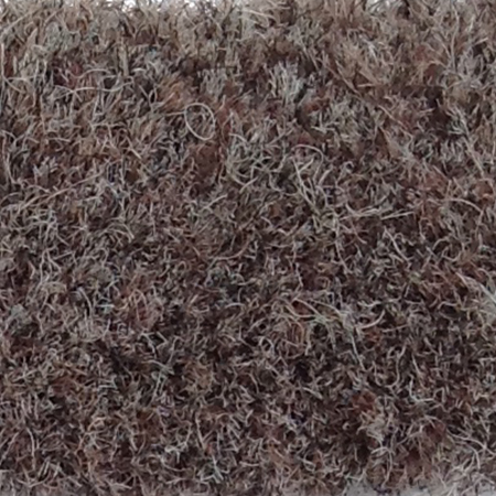 Carpet - Brownstone / 1611 Park Place