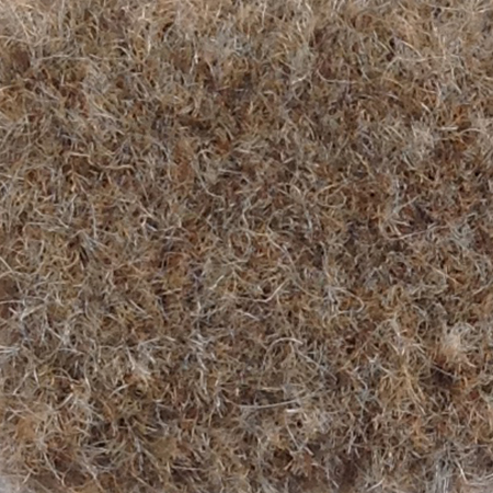 Carpet - Sandy / #1611 Park Place