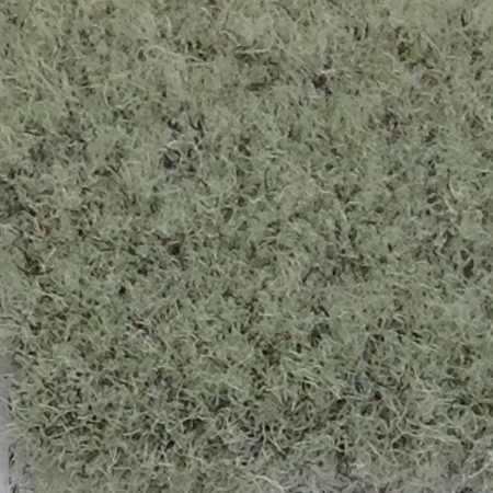 Carpet - Spruce / #611 Park Place