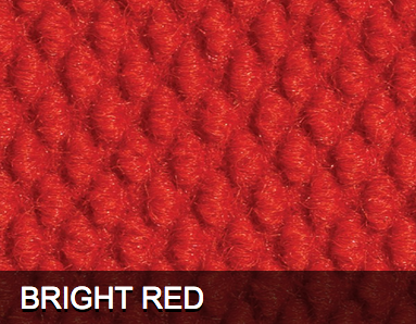 BRIGHT RED BERBER.png