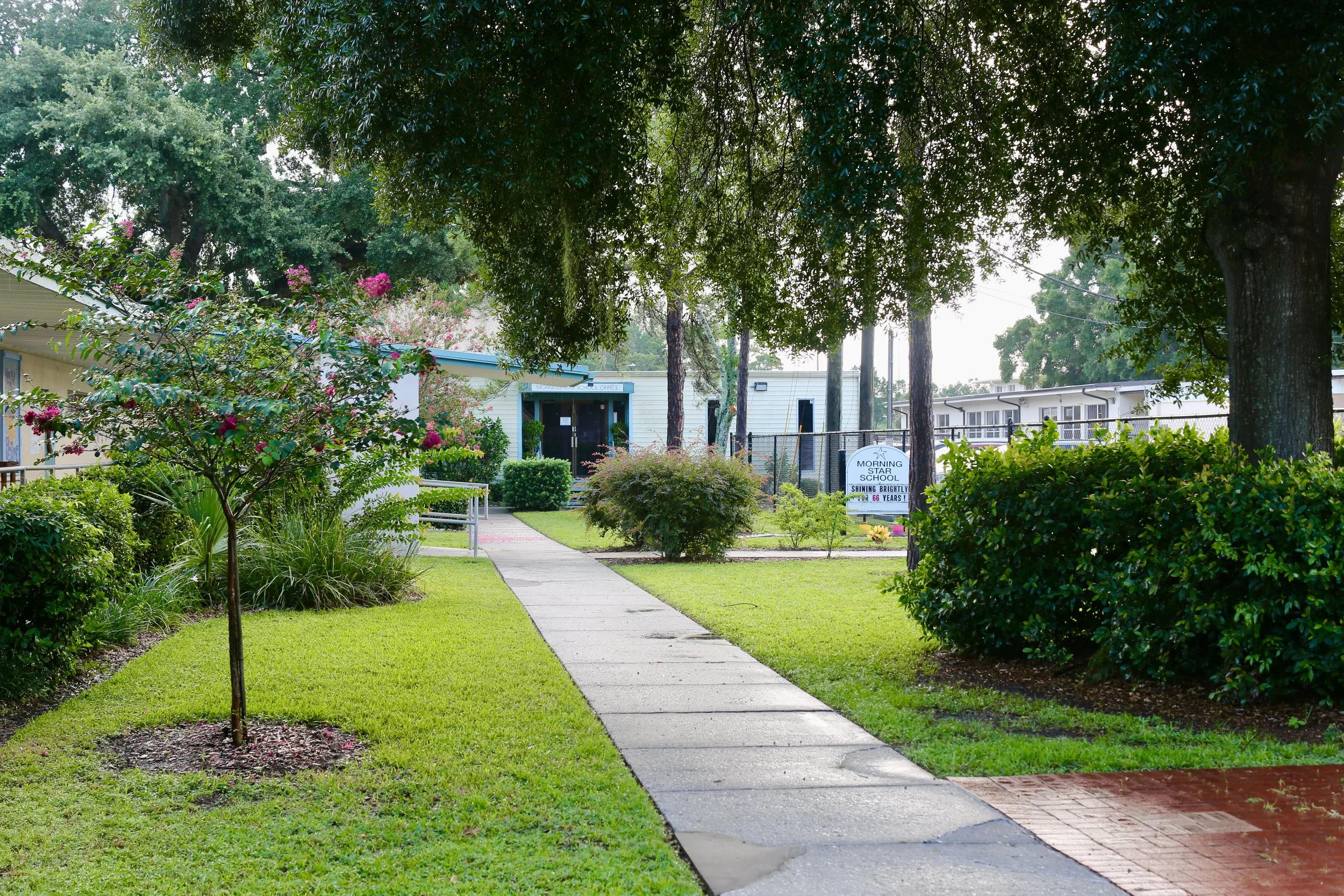 Morning Star School