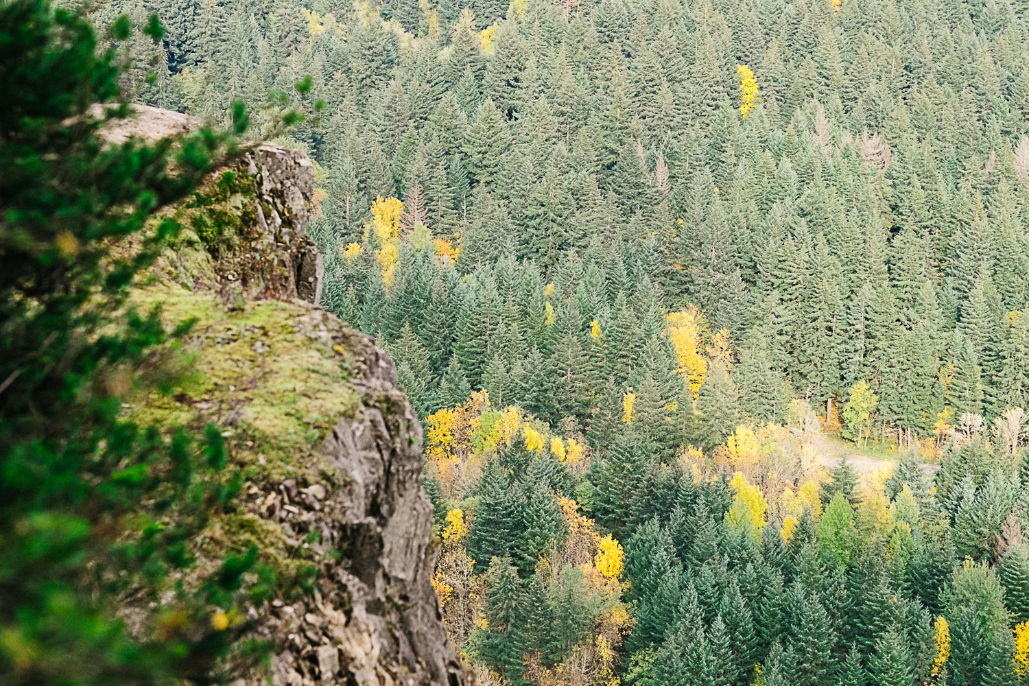 Portland Oregon Wedding Photographers-1.jpg
