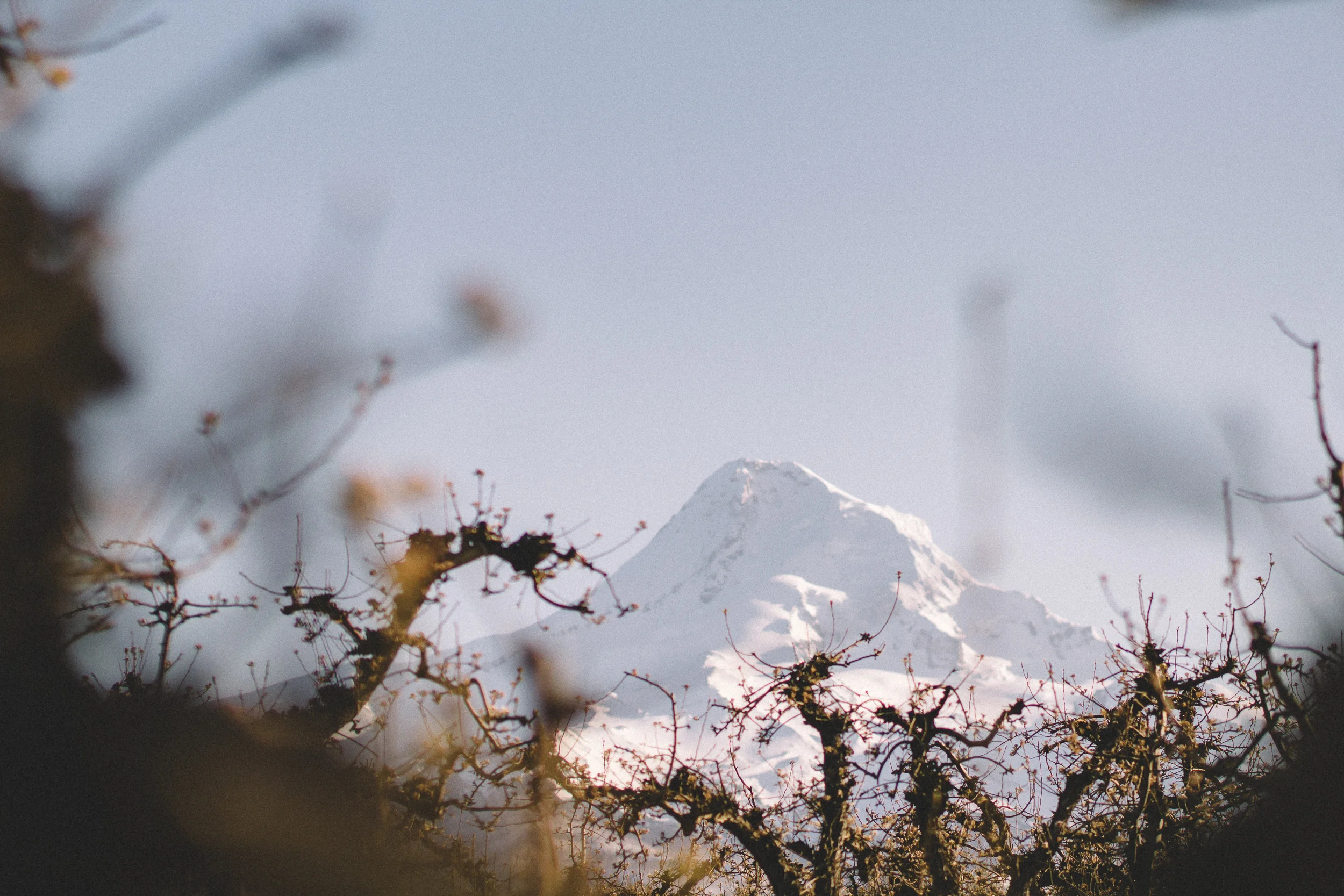 Hood River Engagement Photography-5-1.jpg