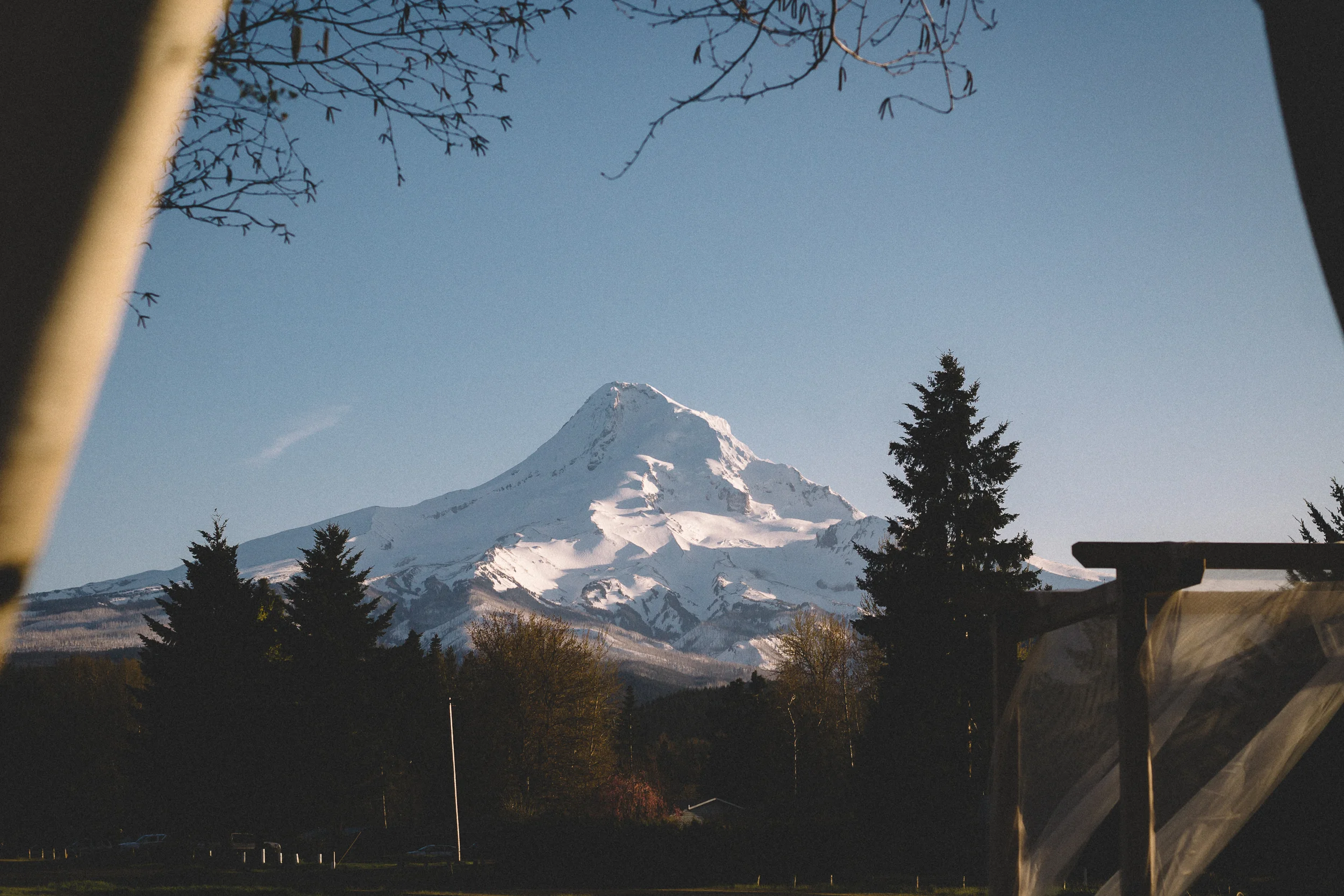 Hood River Engagement Photography-12-1.jpg