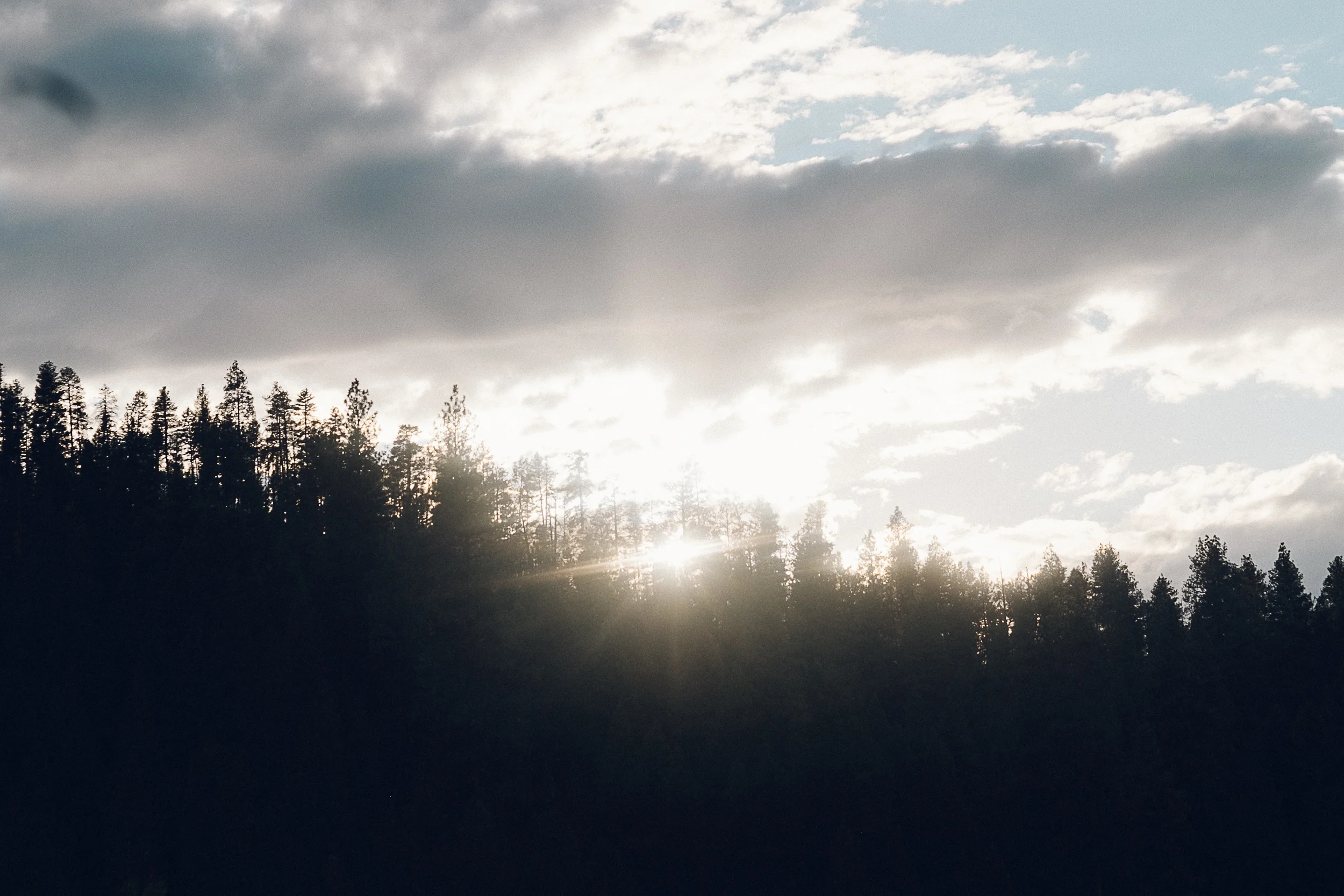 Portland Oregon Photography-10.jpg