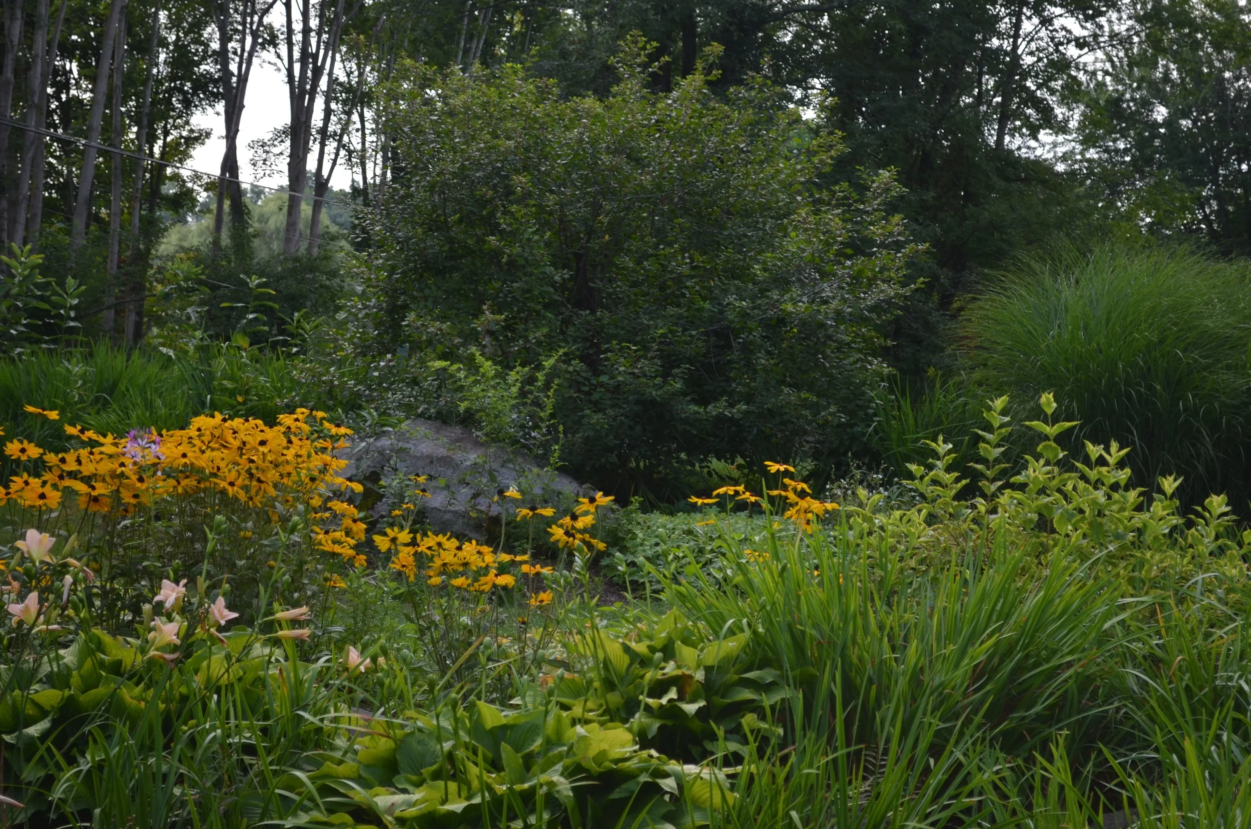 Flowers and rock.jpg