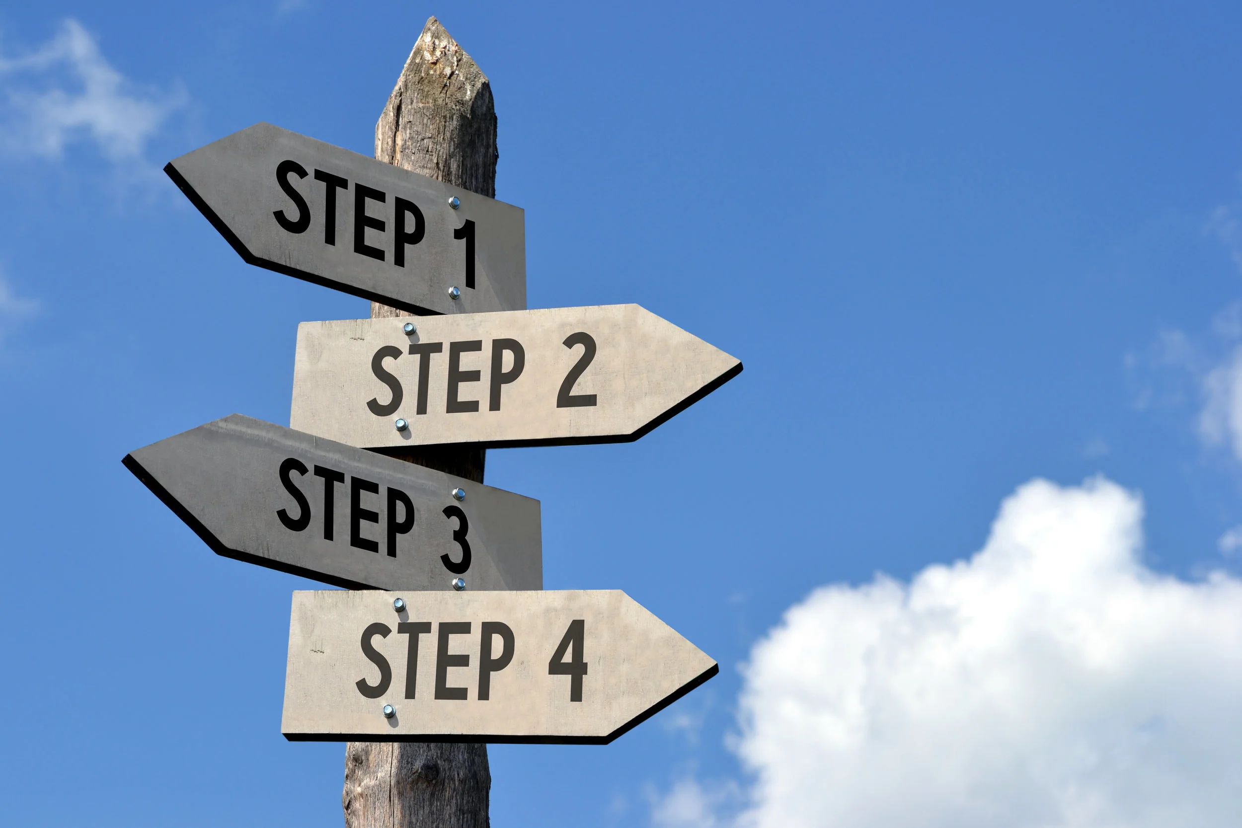 FOUR Things You ALWAYS Need to Include in Your Tender submission