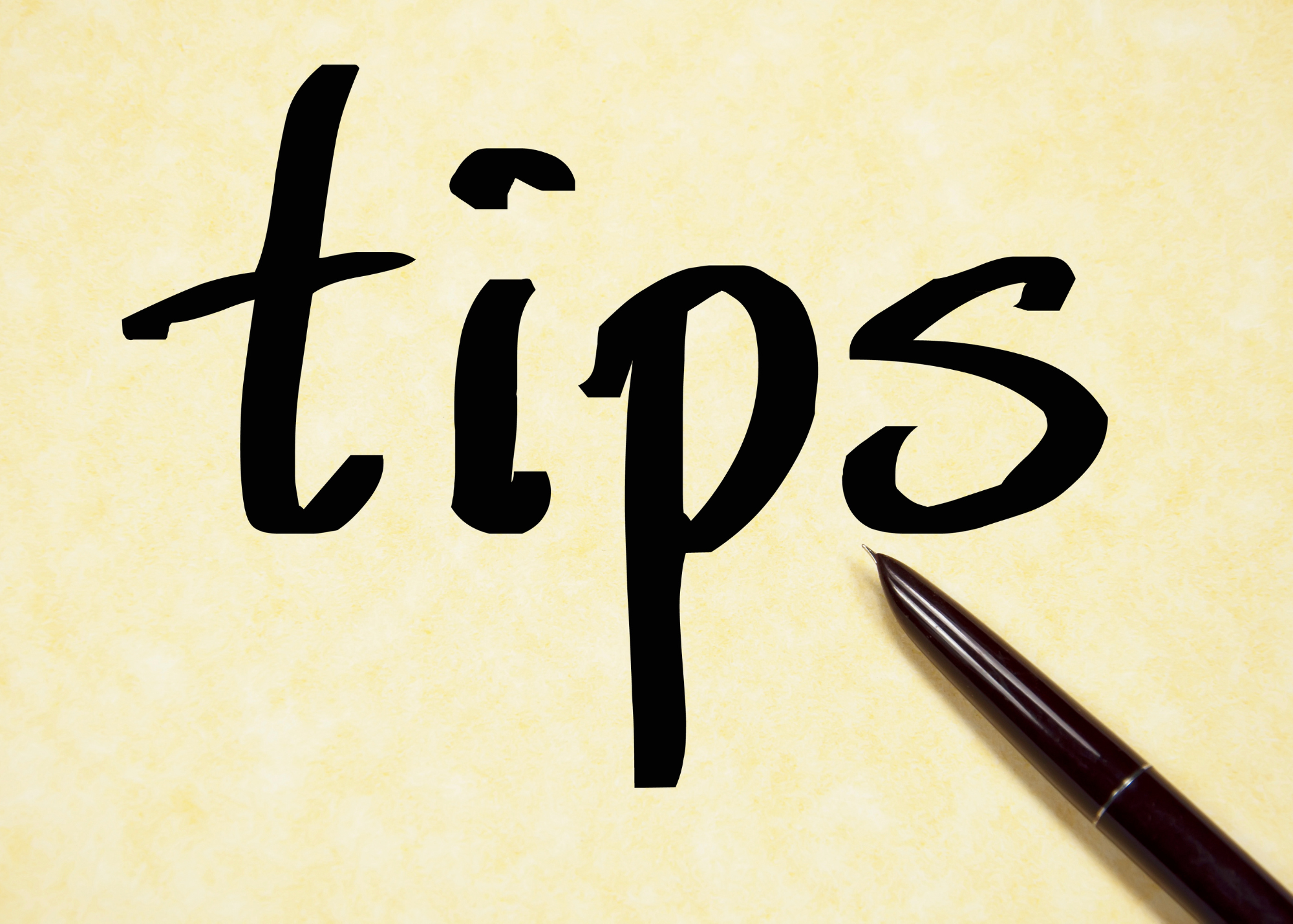 Tips for writing a great tender submission — TenderWise