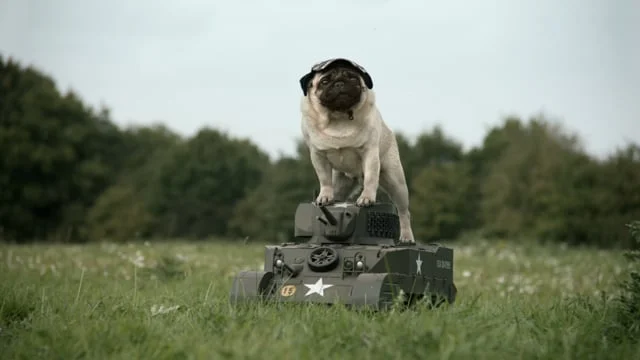 NOW TV - LESSON 6 'MAKE A WEAPON'