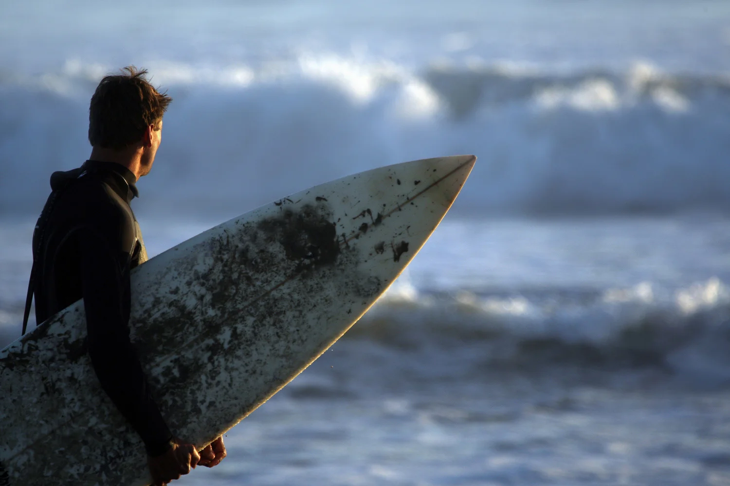 Hvaler surfing